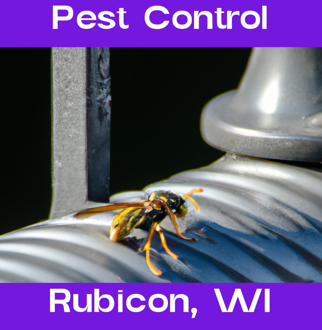 pest control in Rubicon Wisconsin