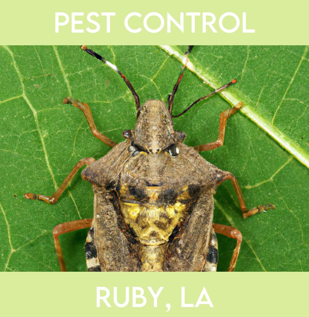 pest control in Ruby Louisiana