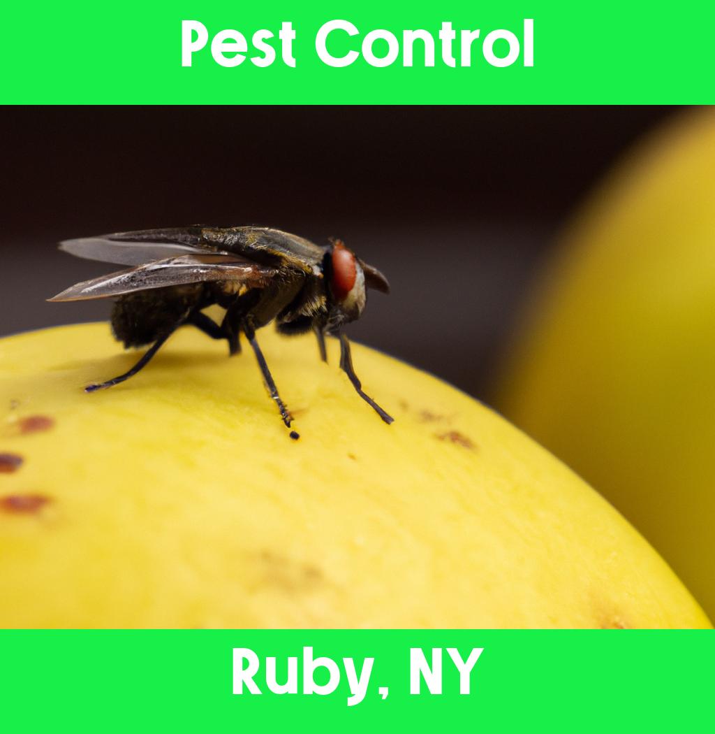 pest control in Ruby New York