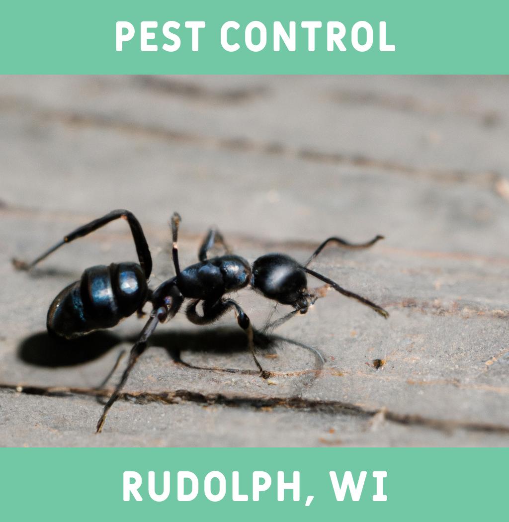pest control in Rudolph Wisconsin