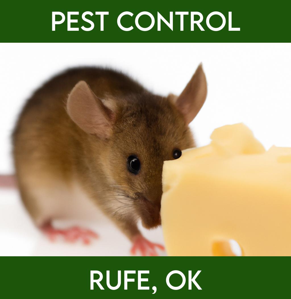 pest control in Rufe Oklahoma