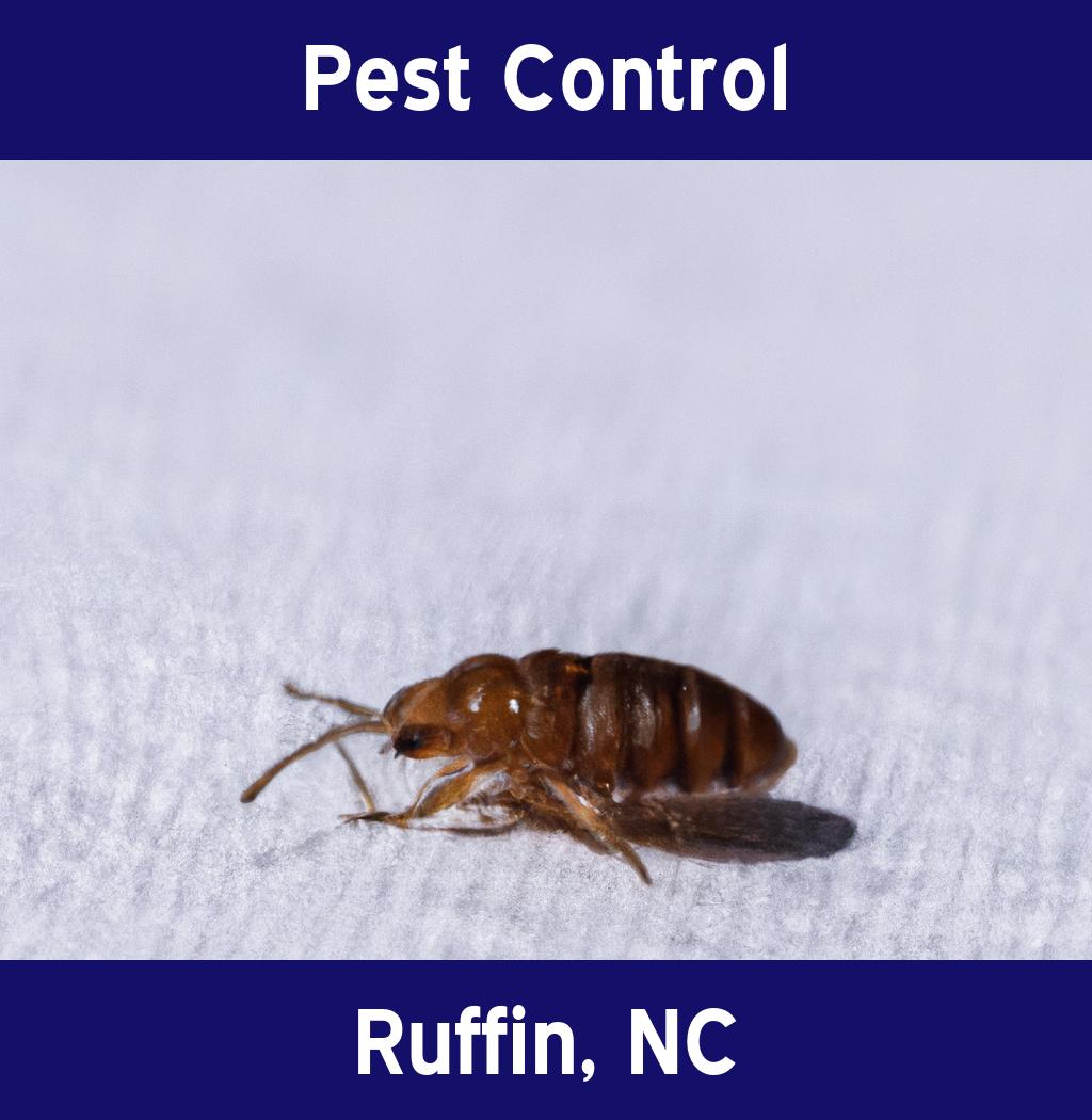 pest control in Ruffin North Carolina