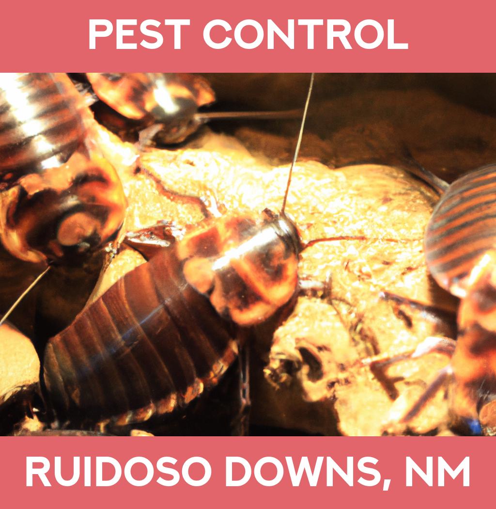 pest control in Ruidoso Downs New Mexico