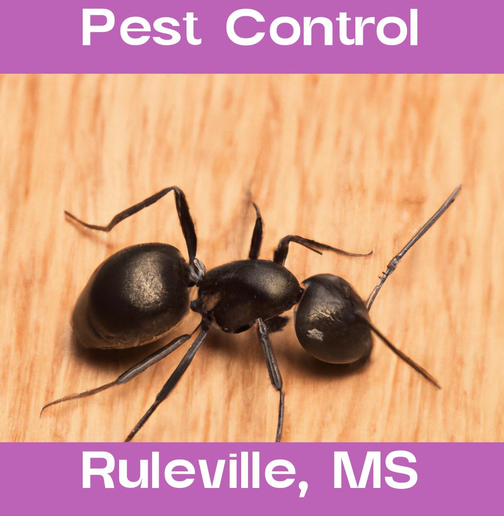 pest control in Ruleville Mississippi