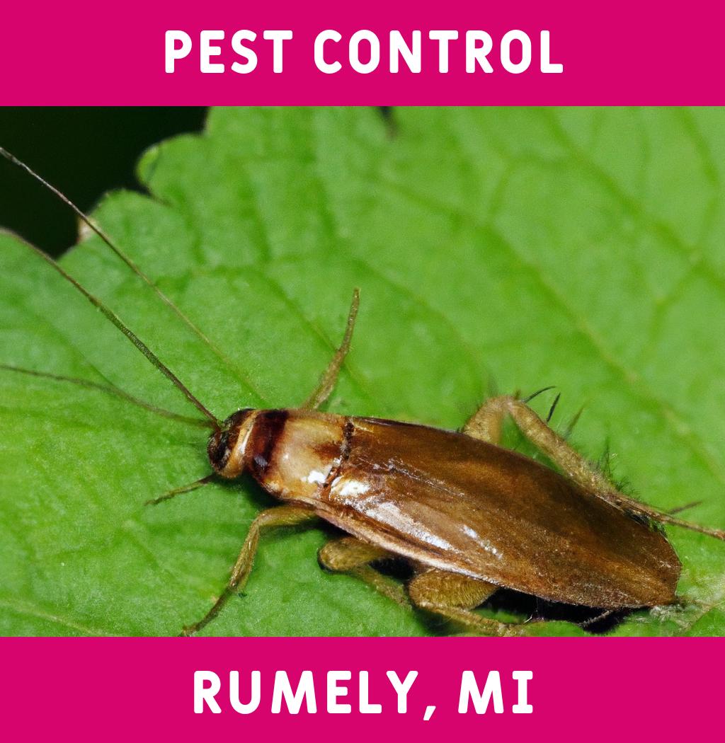 pest control in Rumely Michigan