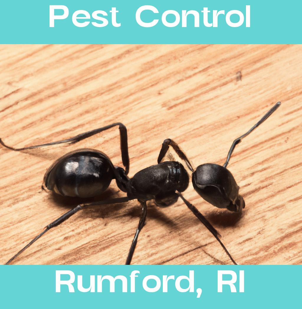 pest control in Rumford Rhode Island