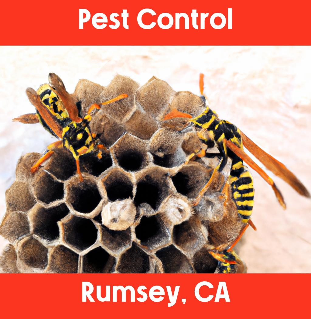 pest control in Rumsey California