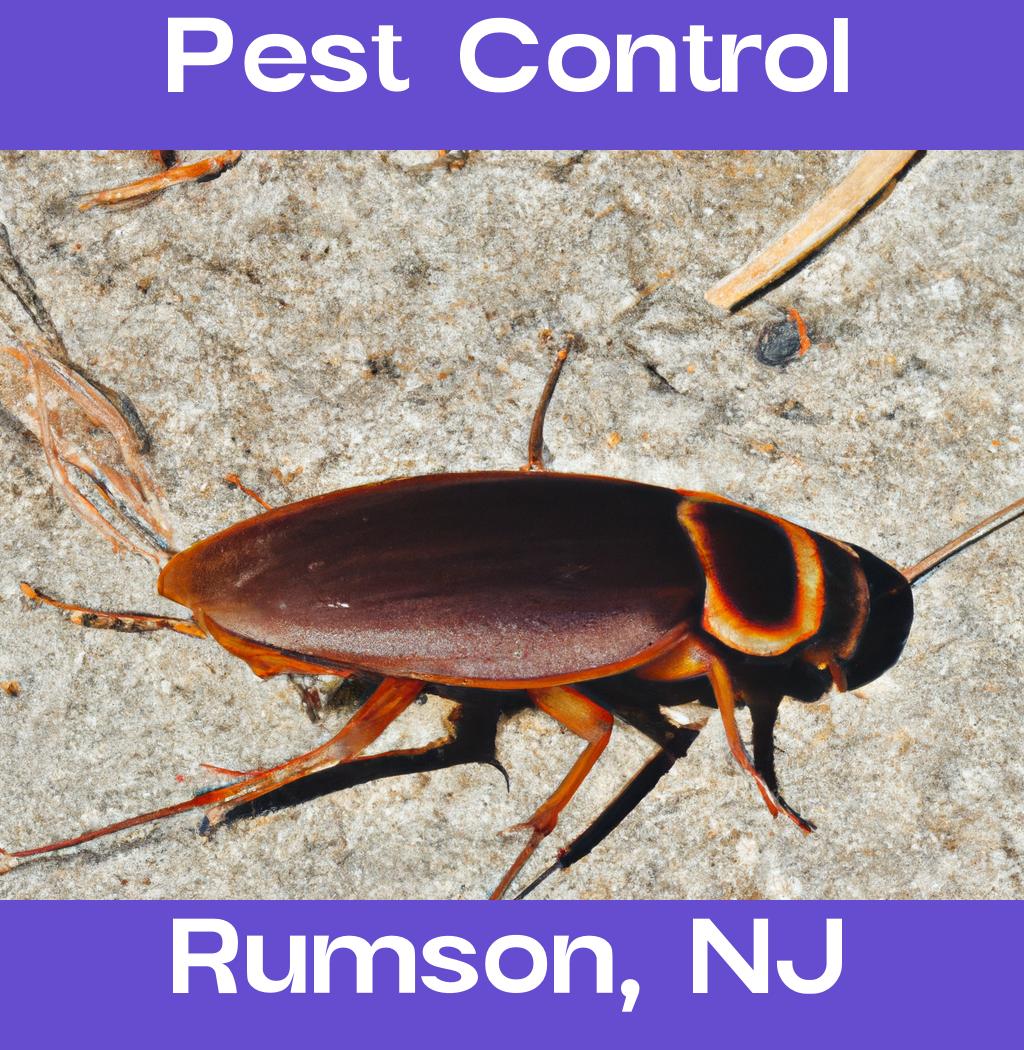 pest control in Rumson New Jersey