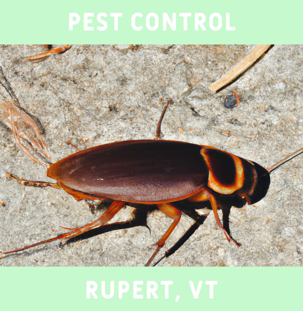 pest control in Rupert Vermont