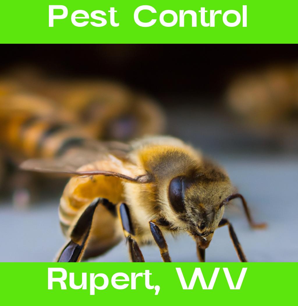 pest control in Rupert West Virginia