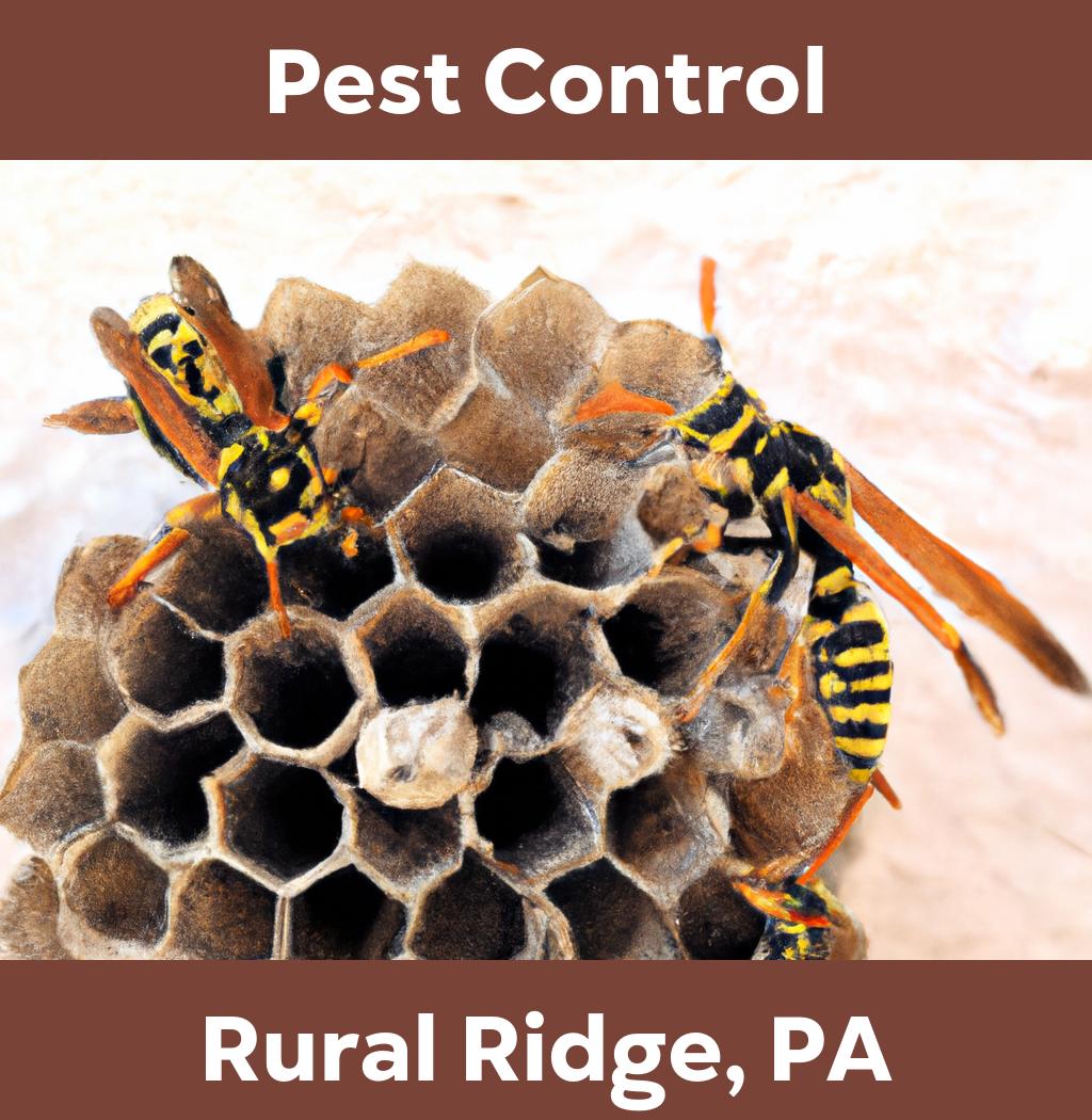 pest control in Rural Ridge Pennsylvania