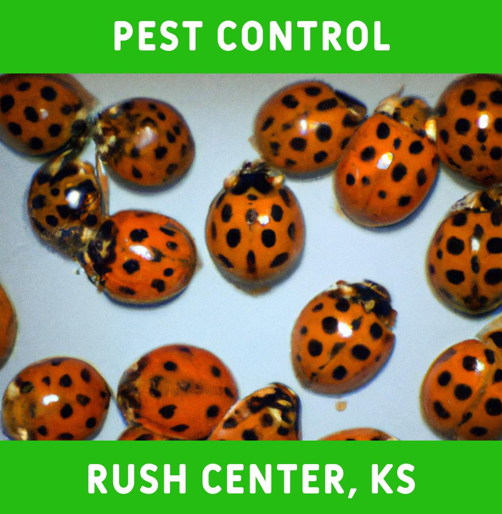 pest control in Rush Center Kansas