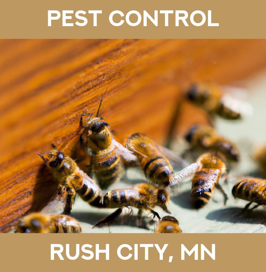 pest control in Rush City Minnesota