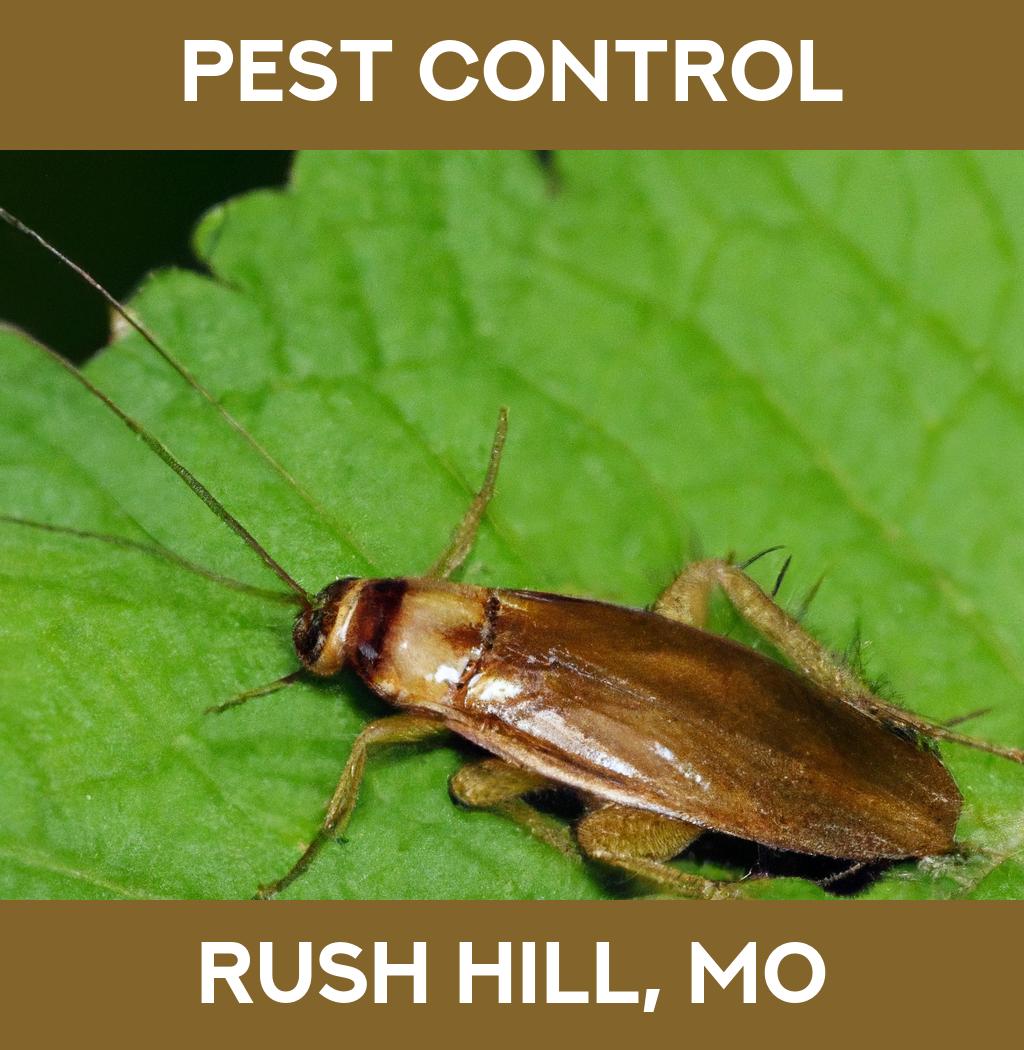 pest control in Rush Hill Missouri