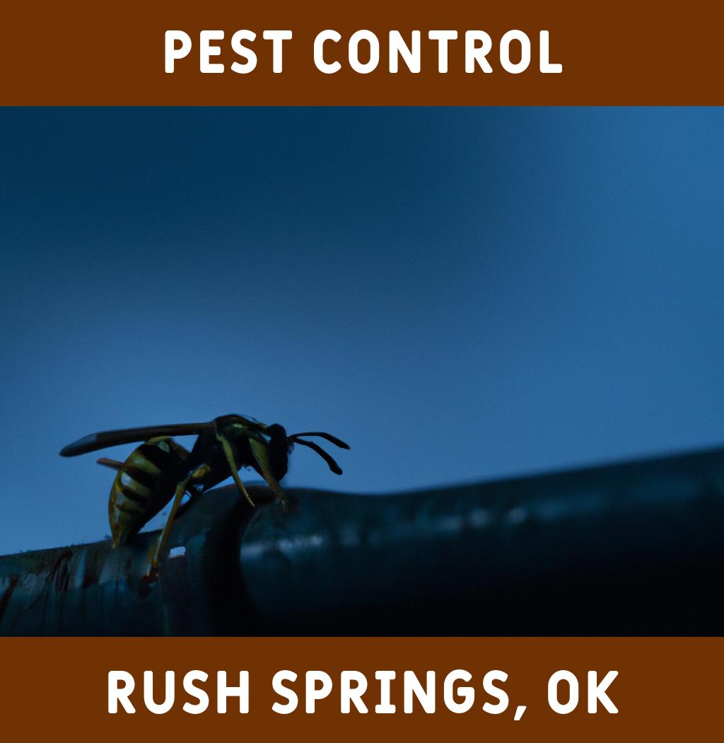 pest control in Rush Springs Oklahoma
