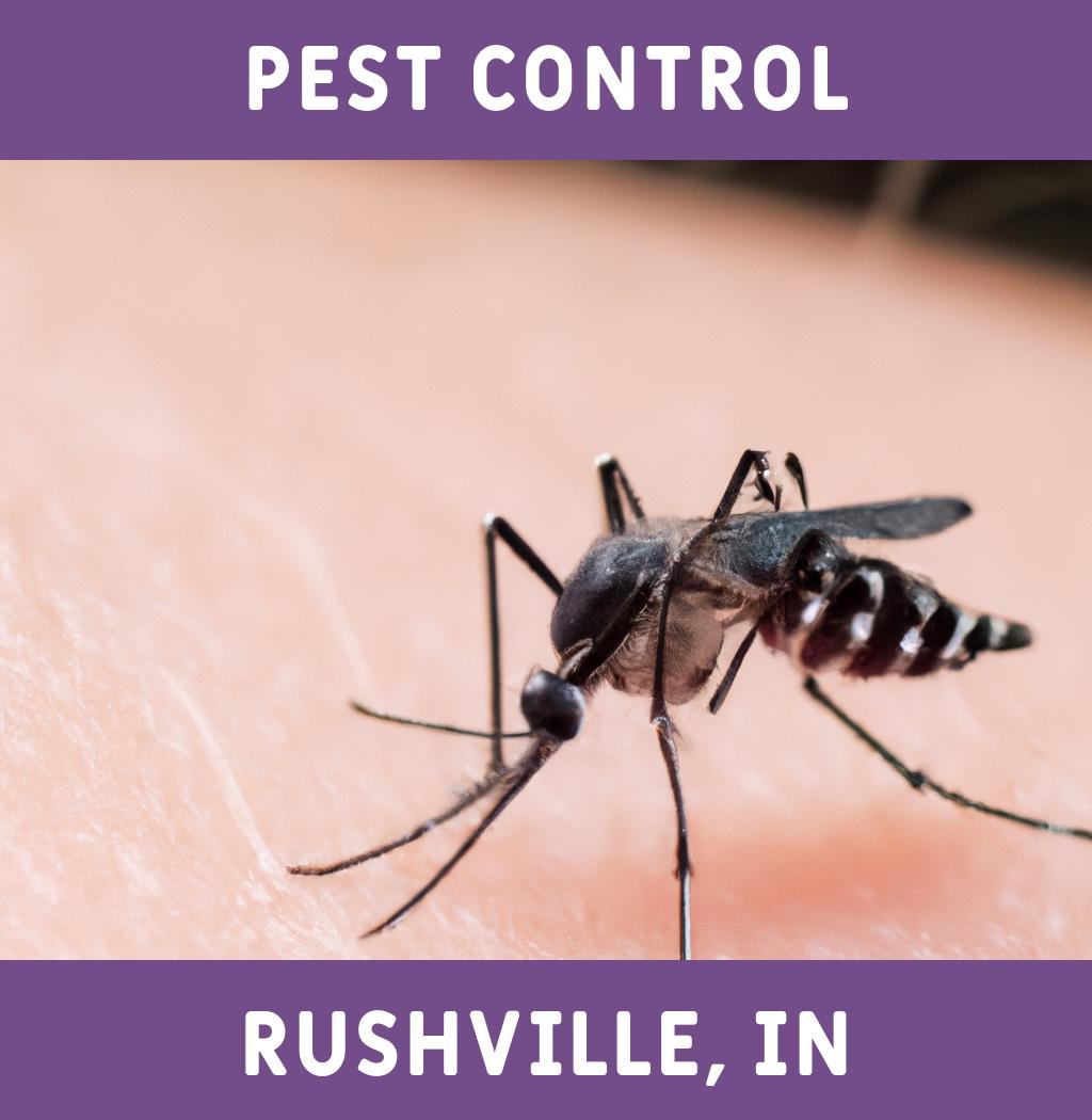 pest control in Rushville Indiana
