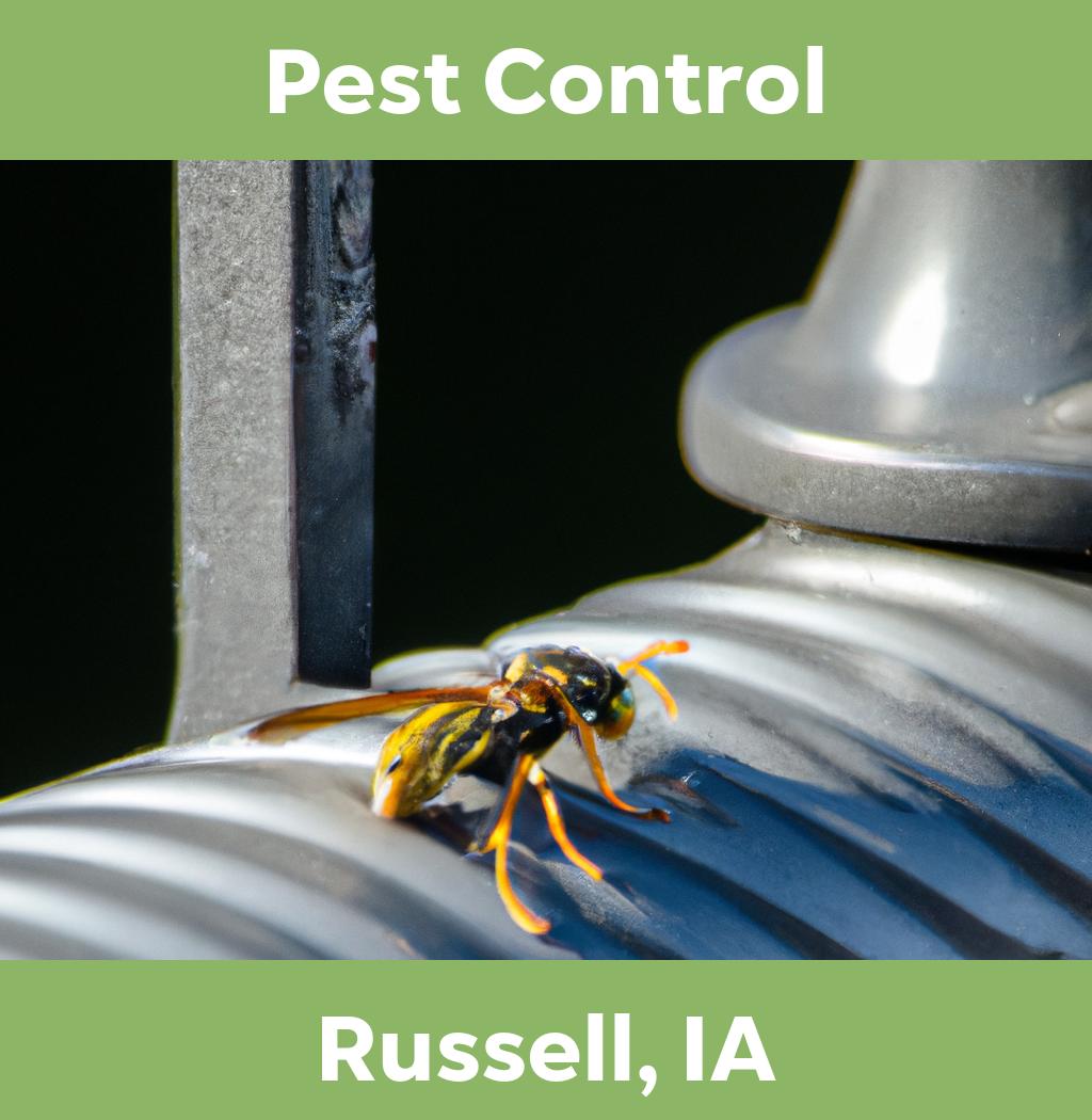 pest control in Russell Iowa