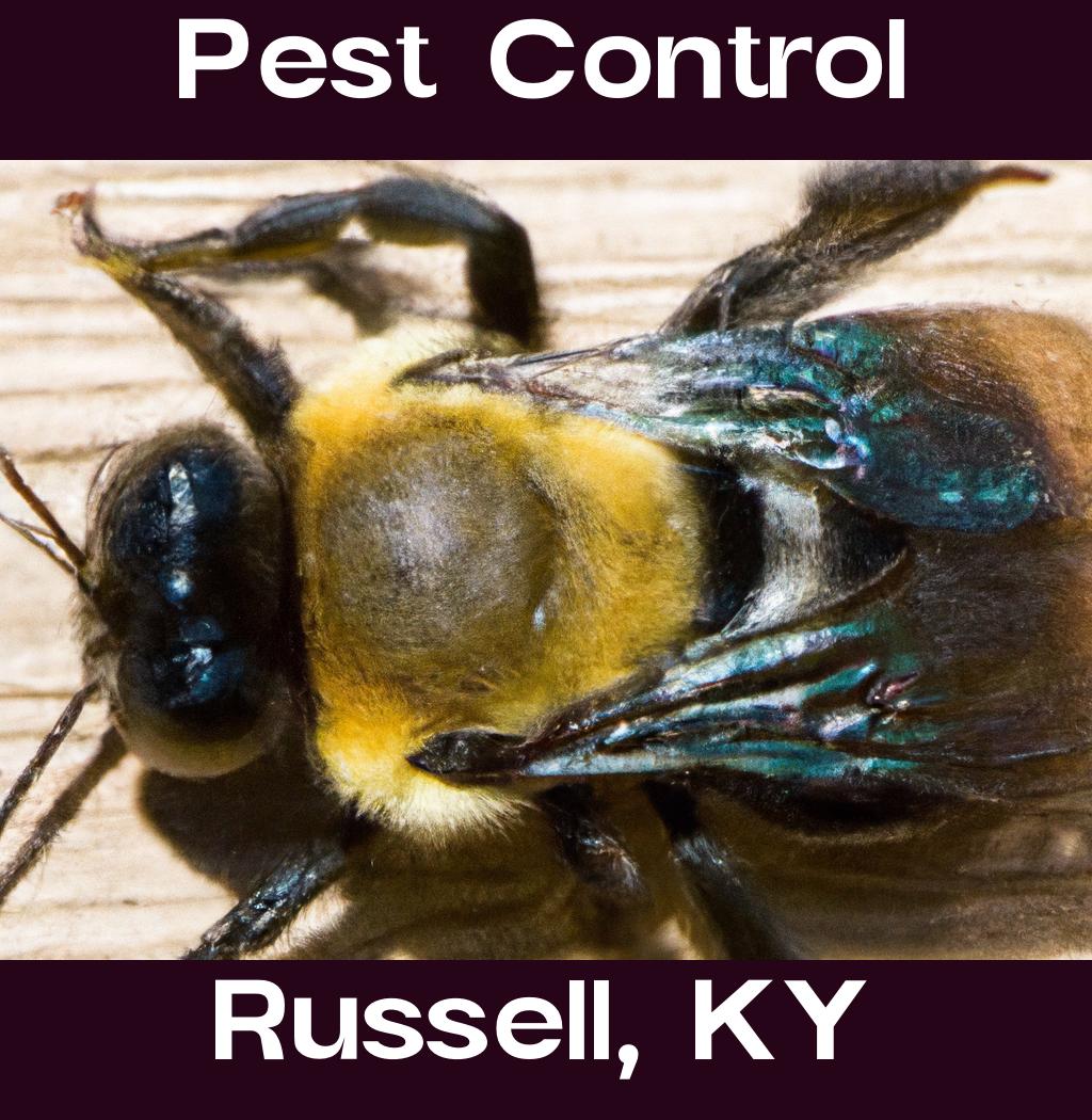 pest control in Russell Kentucky