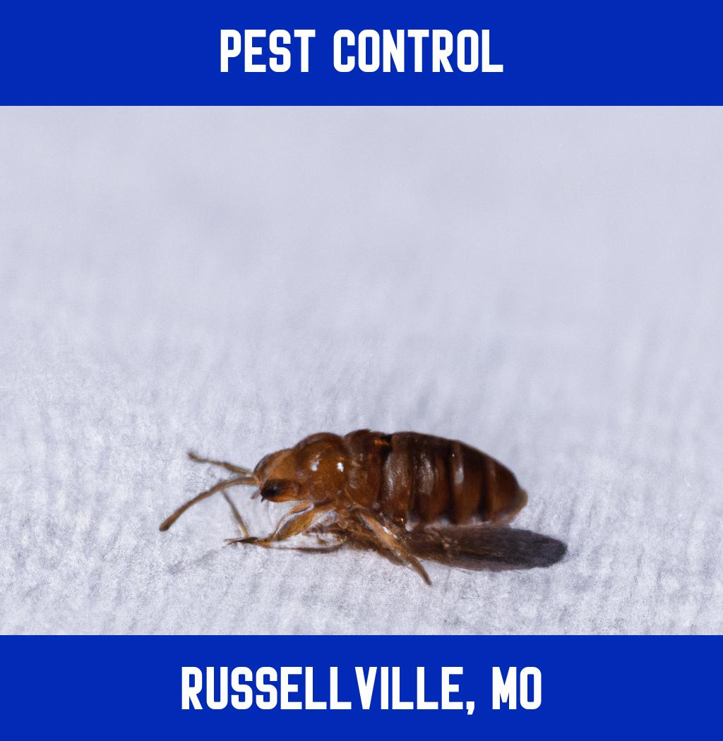 pest control in Russellville Missouri