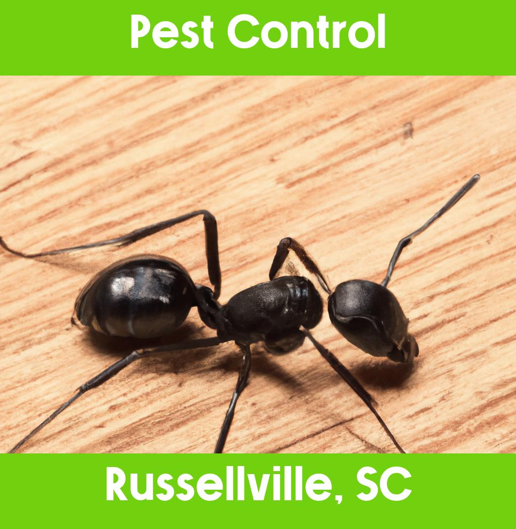 pest control in Russellville South Carolina