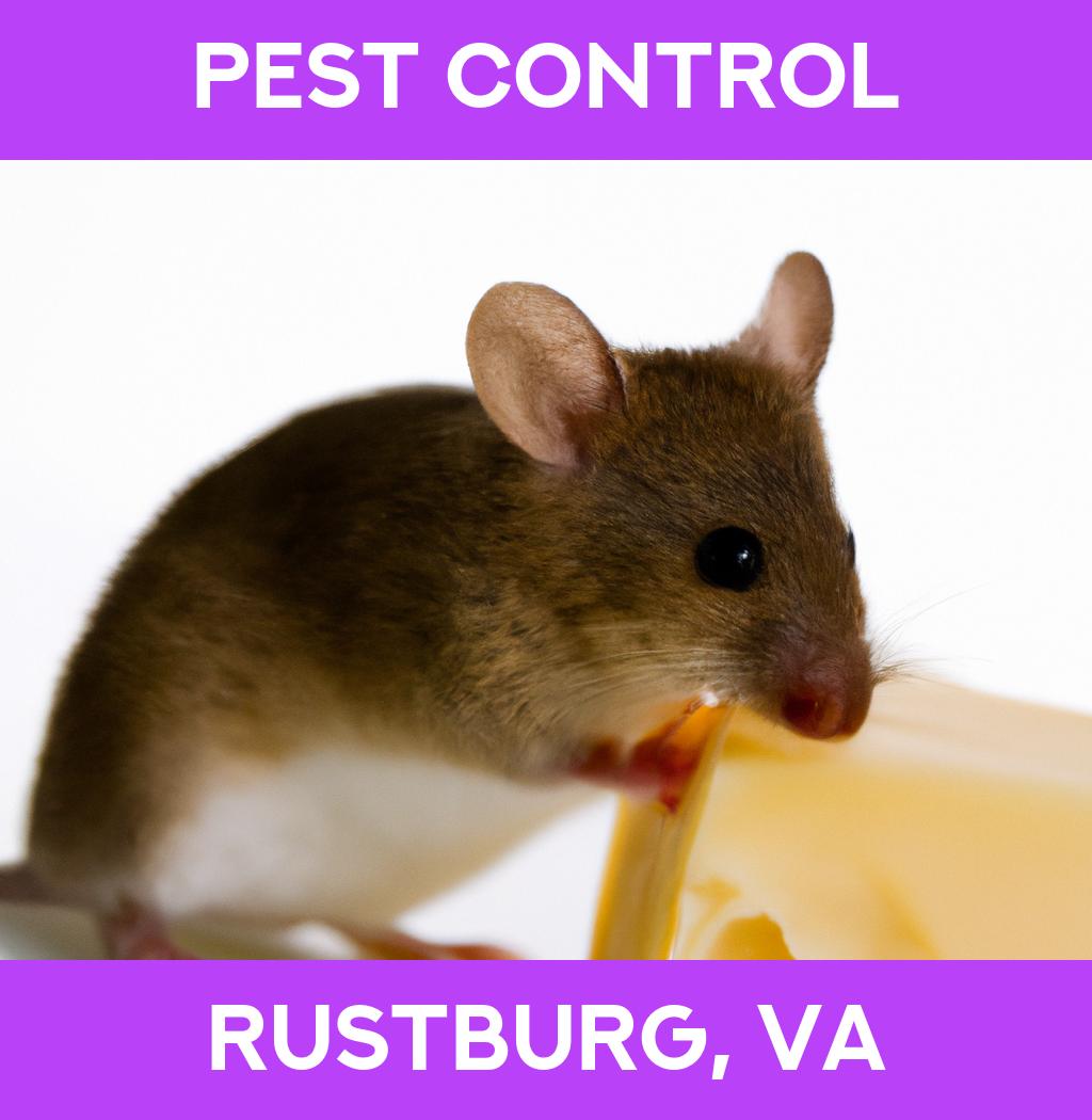 pest control in Rustburg Virginia