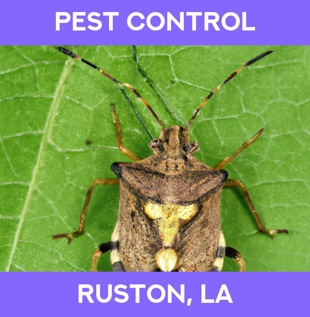 pest control in Ruston Louisiana