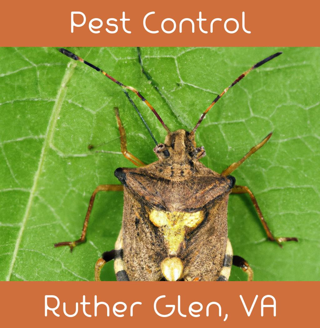 pest control in Ruther Glen Virginia