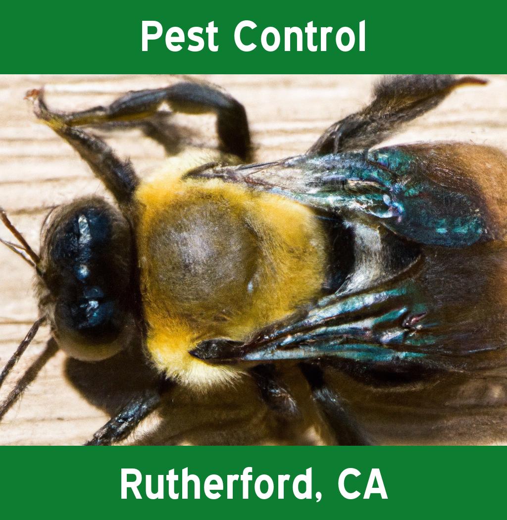 pest control in Rutherford California