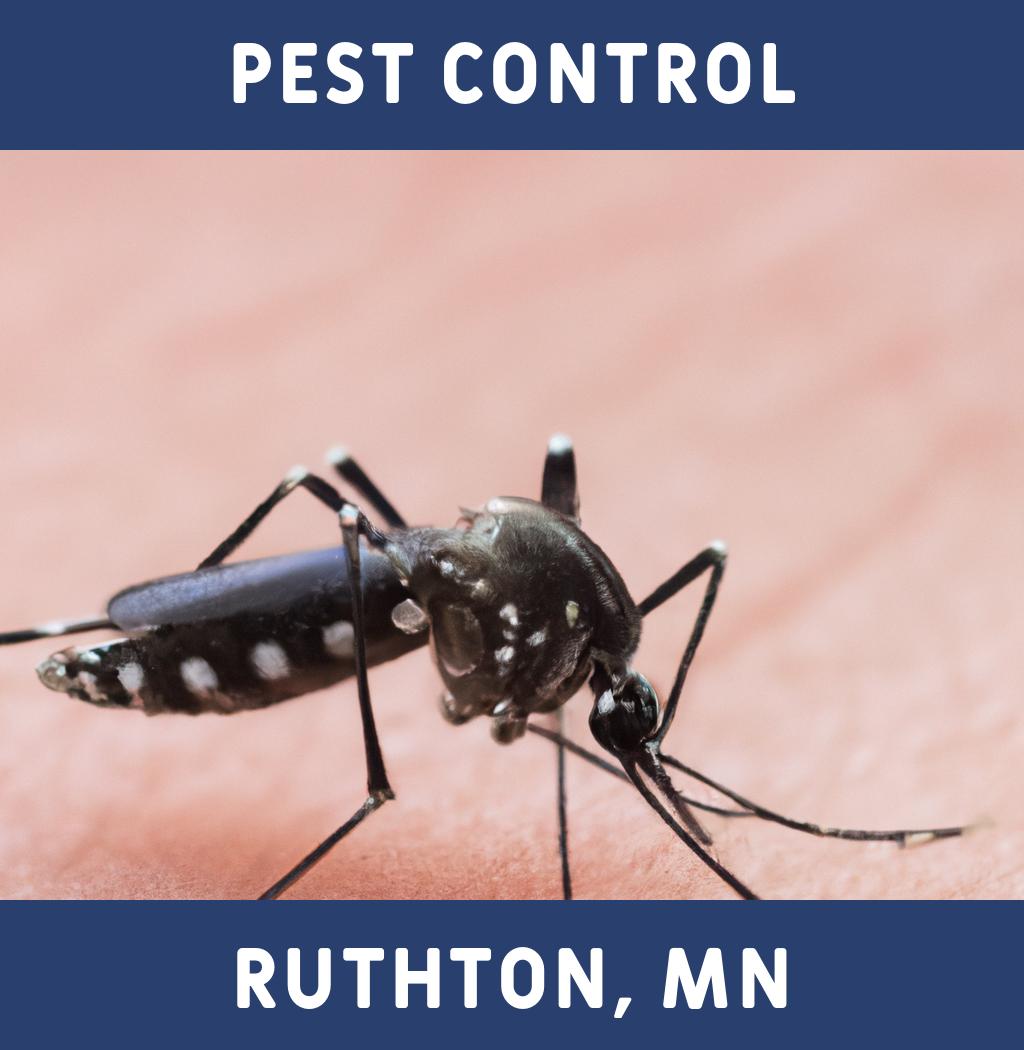pest control in Ruthton Minnesota