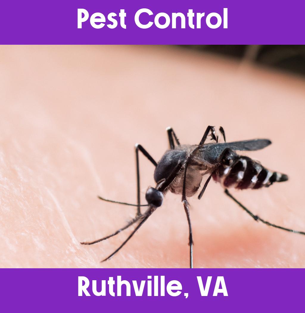 pest control in Ruthville Virginia