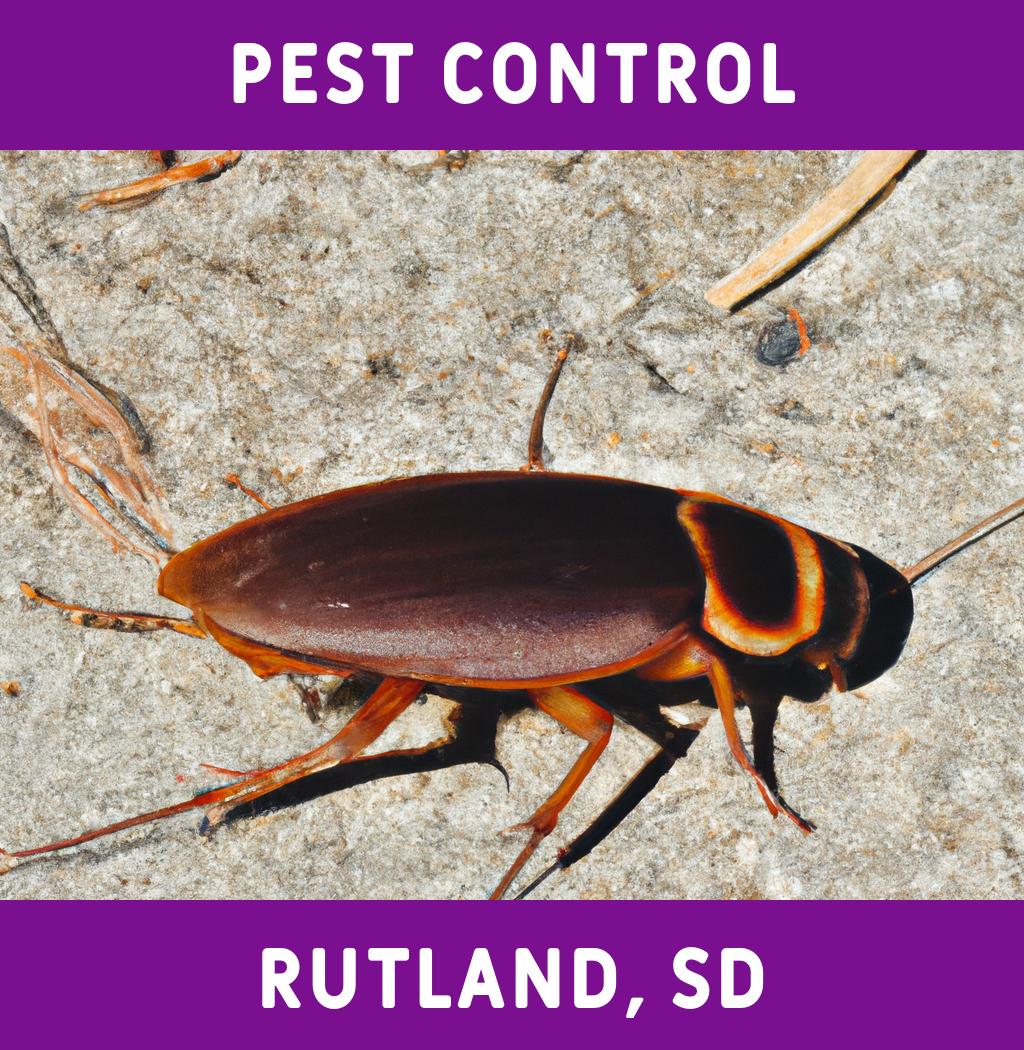 pest control in Rutland South Dakota