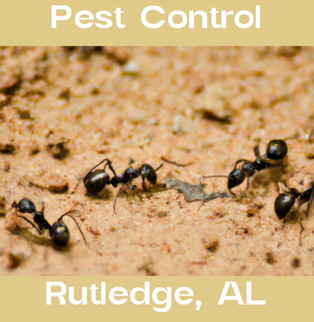pest control in Rutledge Alabama