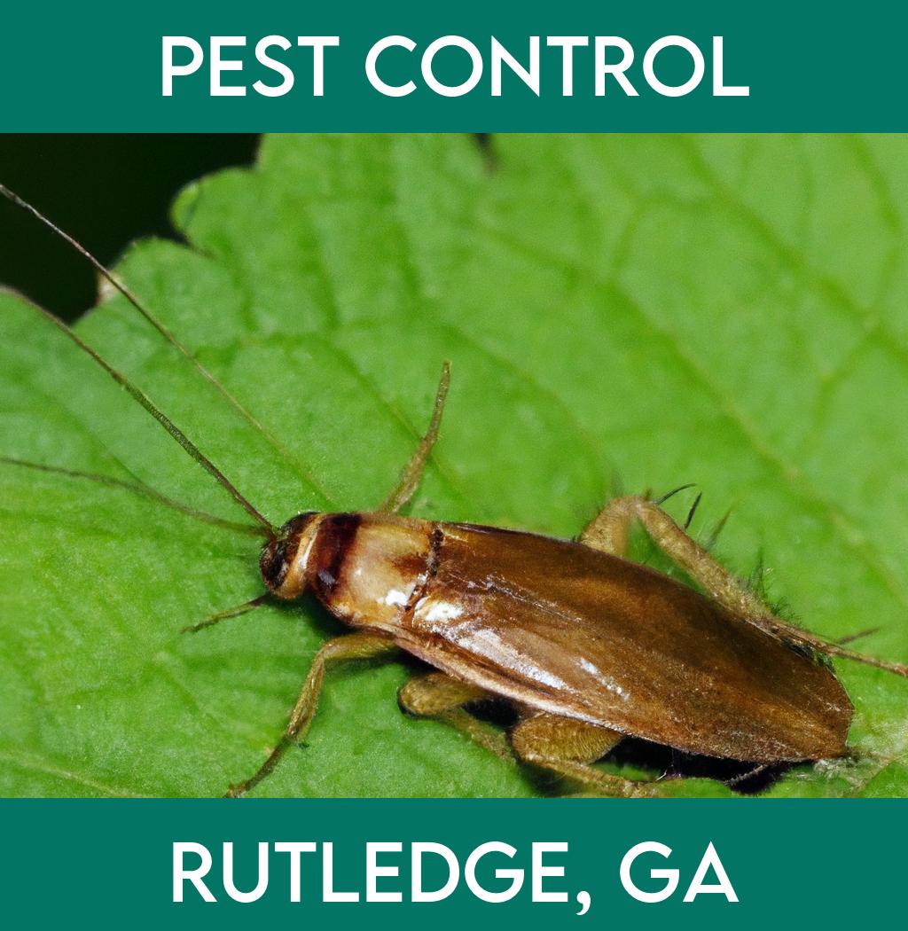pest control in Rutledge Georgia