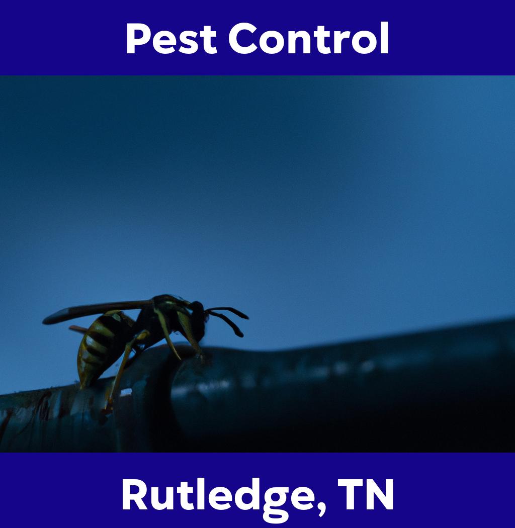 pest control in Rutledge Tennessee