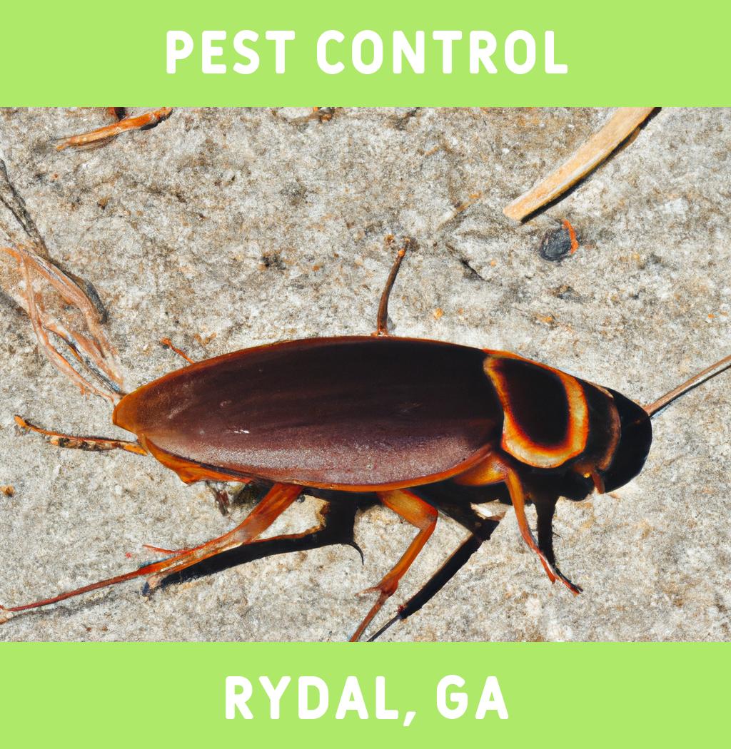 pest control in Rydal Georgia