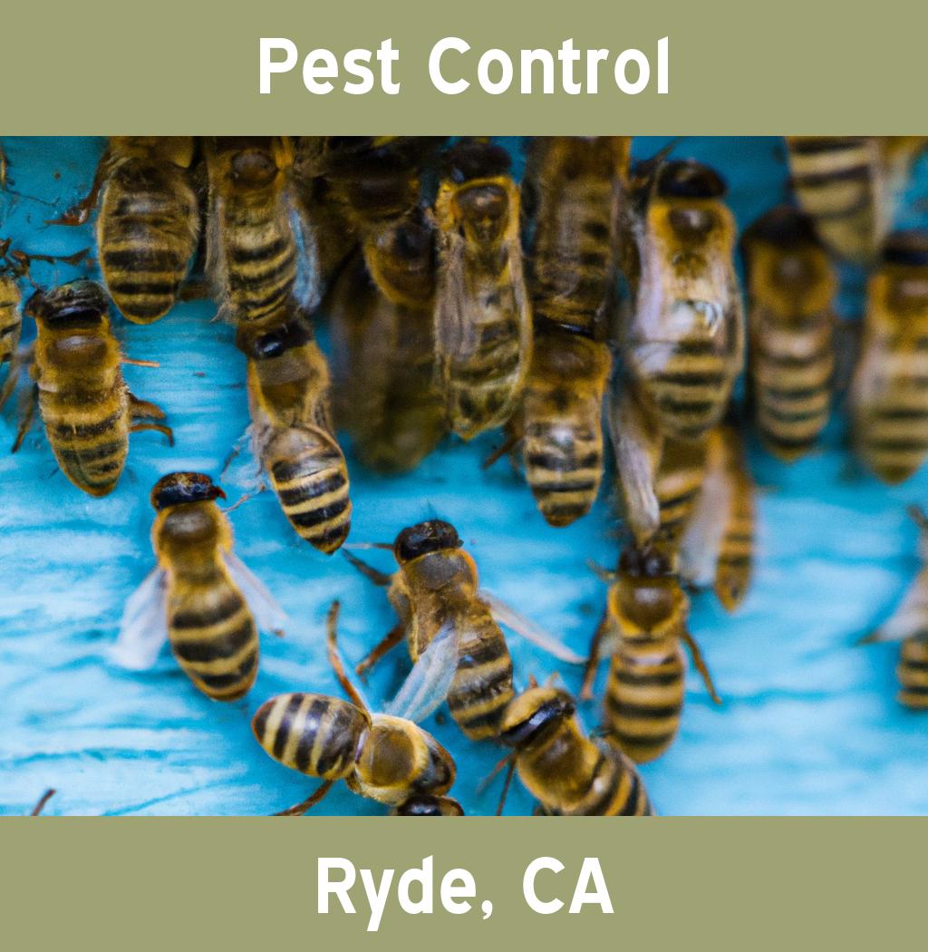 pest control in Ryde California