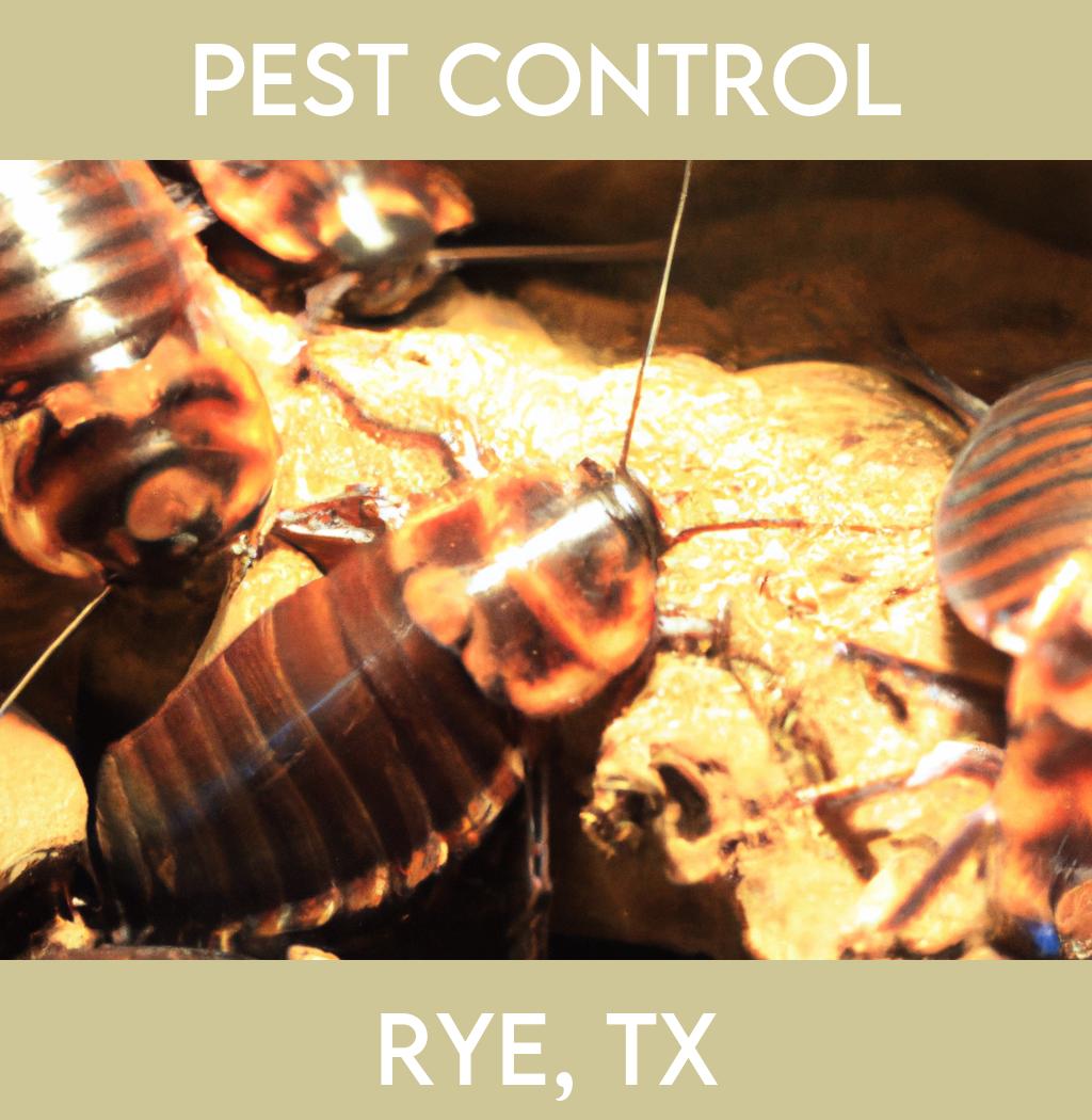 pest control in Rye Texas