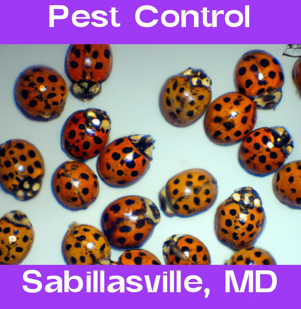 pest control in Sabillasville Maryland