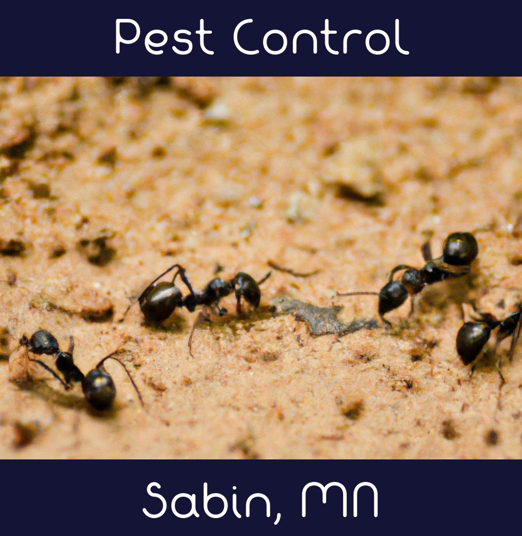 pest control in Sabin Minnesota
