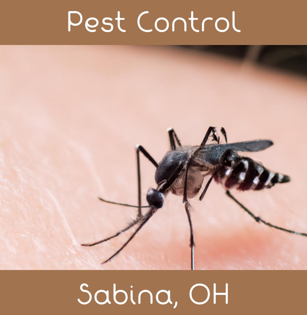 pest control in Sabina Ohio