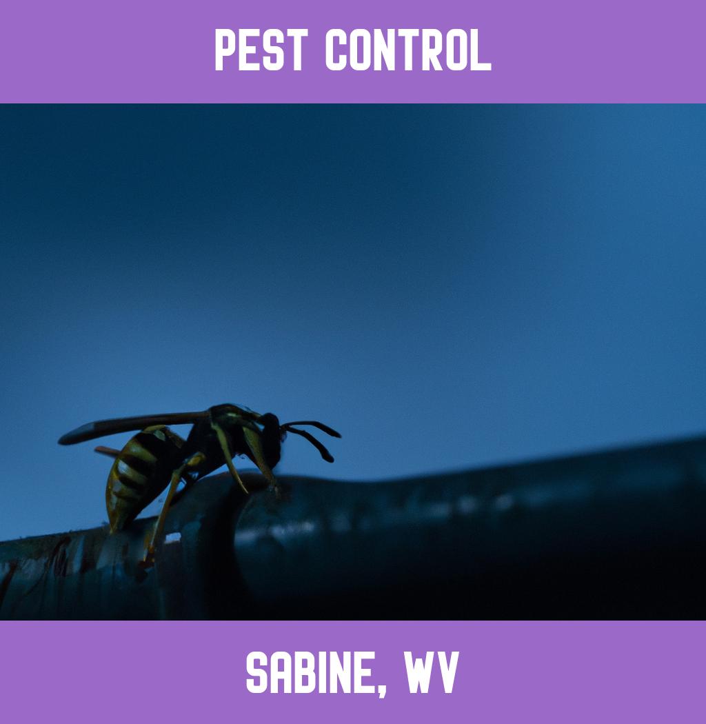 pest control in Sabine West Virginia