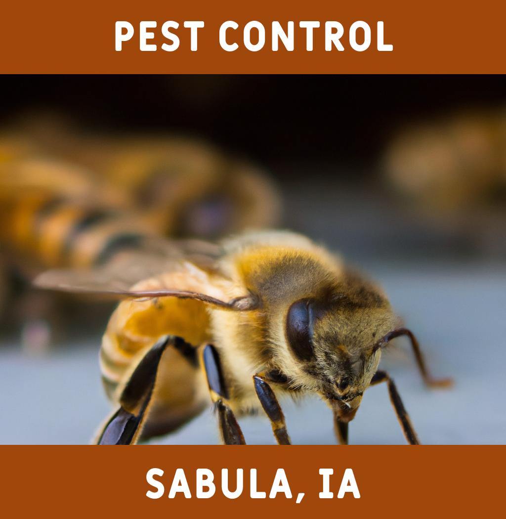 pest control in Sabula Iowa