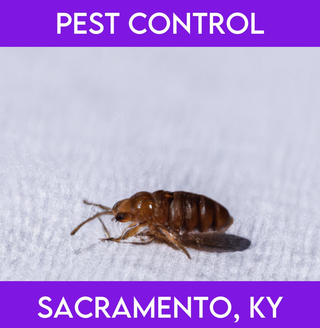 pest control in Sacramento Kentucky