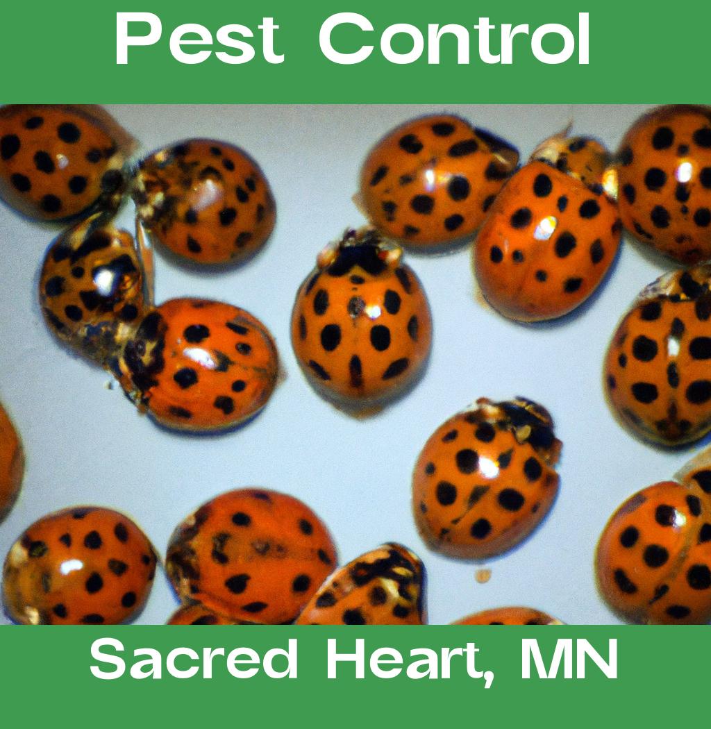 pest control in Sacred Heart Minnesota