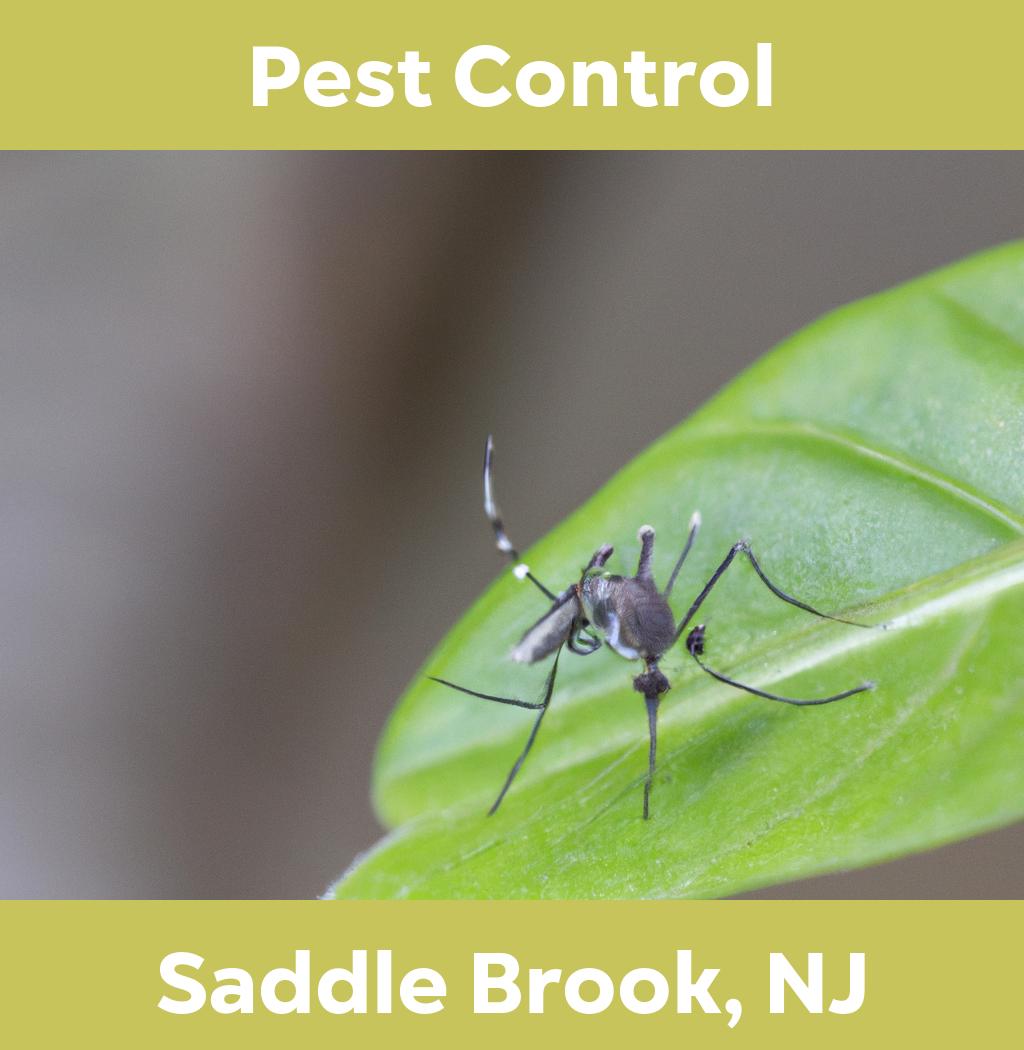 pest control in Saddle Brook New Jersey
