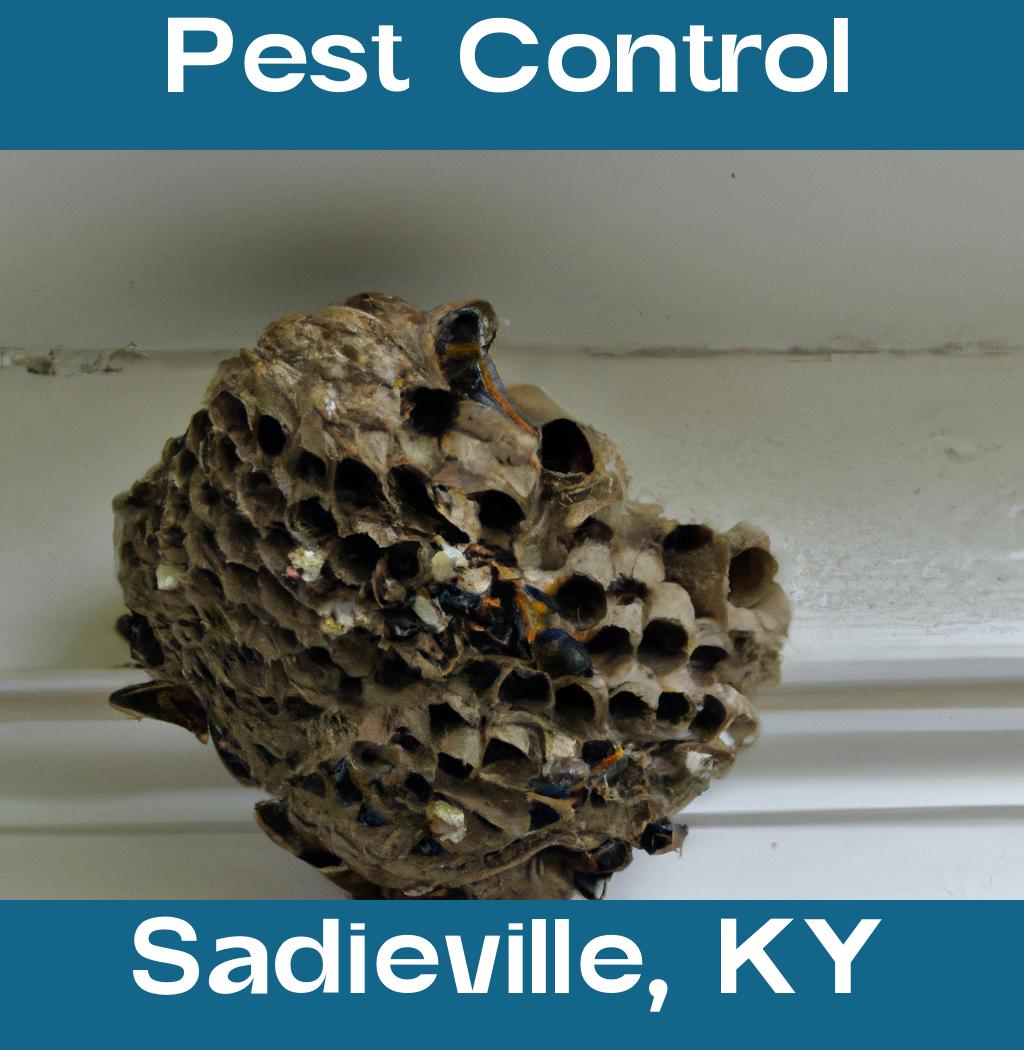 pest control in Sadieville Kentucky