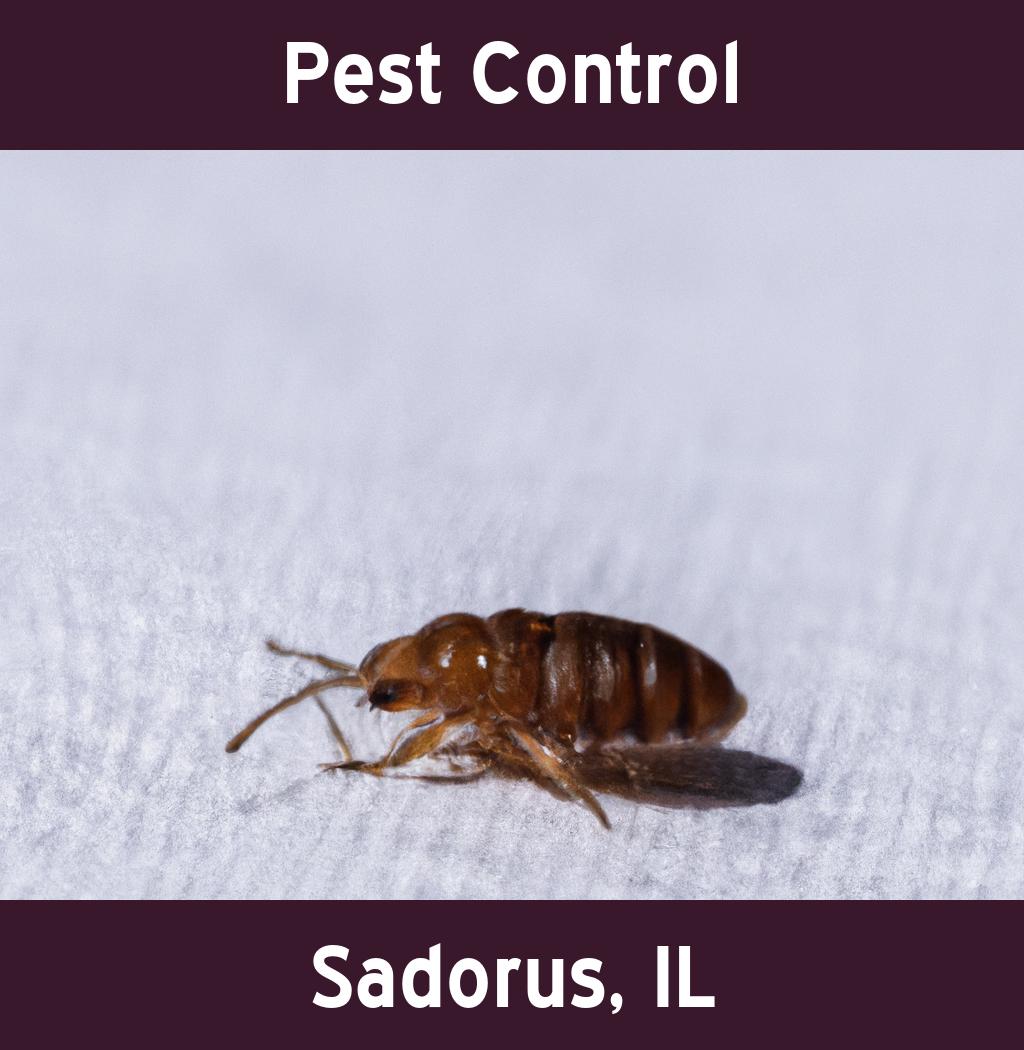 pest control in Sadorus Illinois