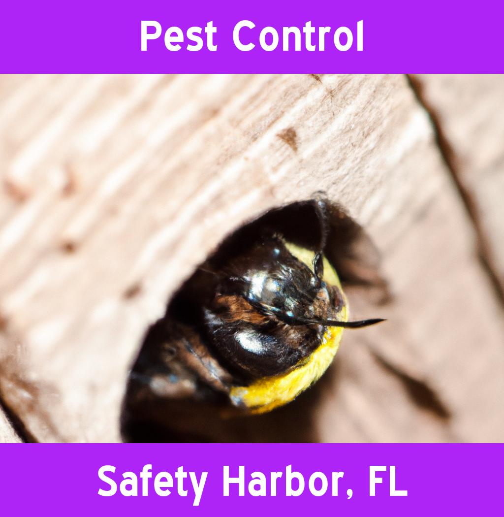 pest control in Safety Harbor Florida