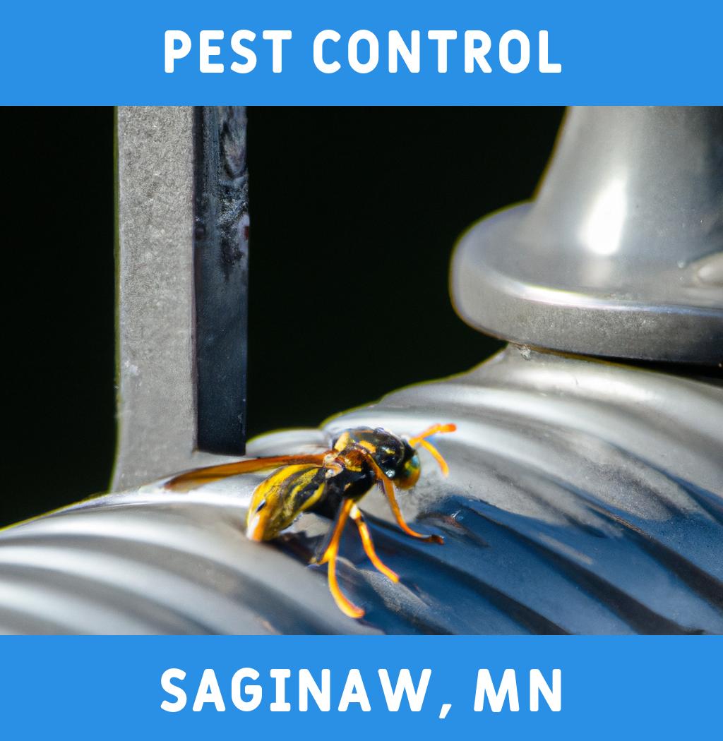 pest control in Saginaw Minnesota