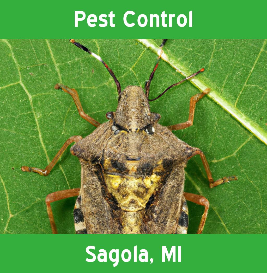 pest control in Sagola Michigan